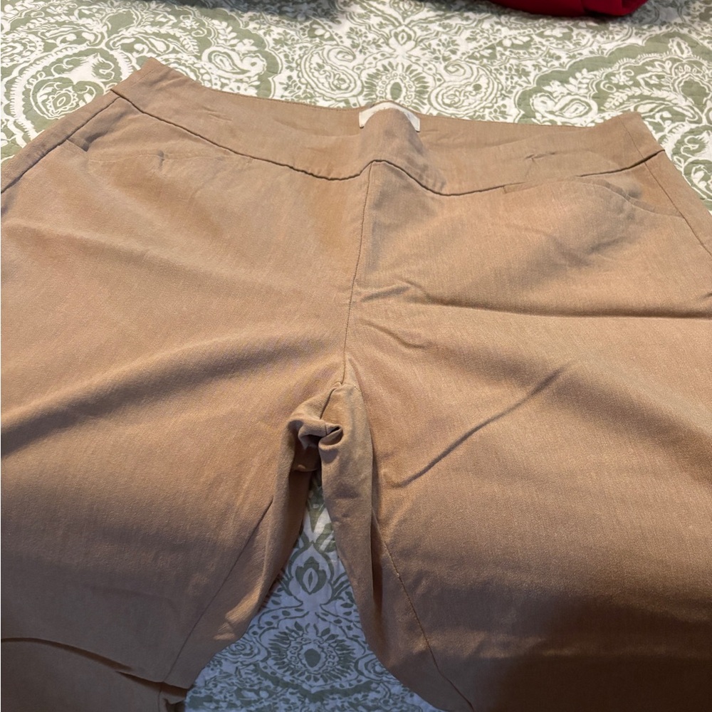 Talbots Tan Trousers Classic Straight-Leg Design